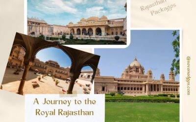 Rajasthan Tour Packages – A Journey to the Royal Rajasthan