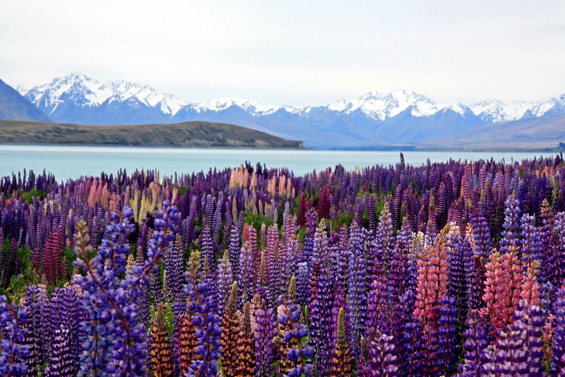 Attractions in New Zealand