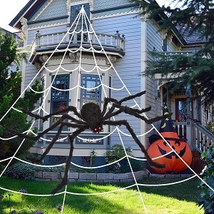 Oversized Spider Web