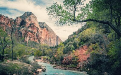 The Thrill of Hiking in Zion National Park, Utah