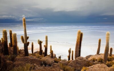 Uyuni, Bolivia: Discovering the World’s Largest Salt Flat