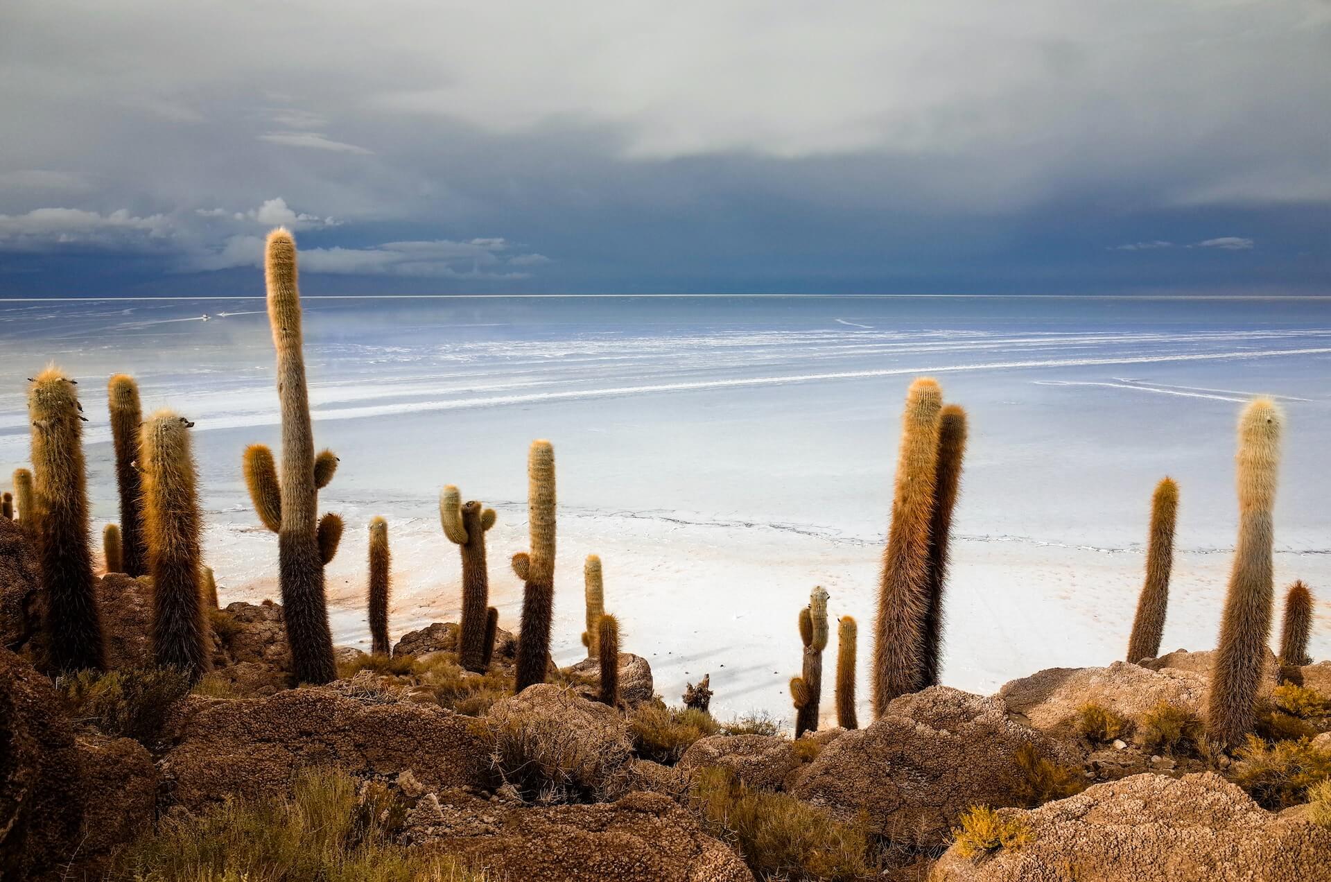 Uyuni Bolivia